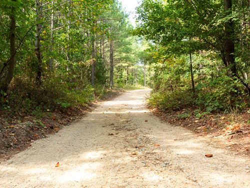 No Credit Check Land, Invest : Hohenwald : Perry County : Tennessee