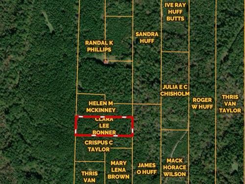 4.29 Ac Nebo Rd, Gloster, MS : Gloster : Amite County : Mississippi
