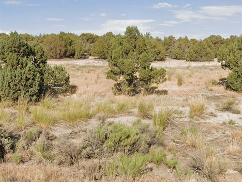 Your Legacy 1.13 Acres for $90/Mo : Spring Creek : Elko County : Nevada