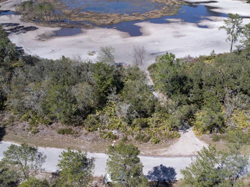 Waterfront Lot in Florida : Ocklawaha : Marion County : Florida