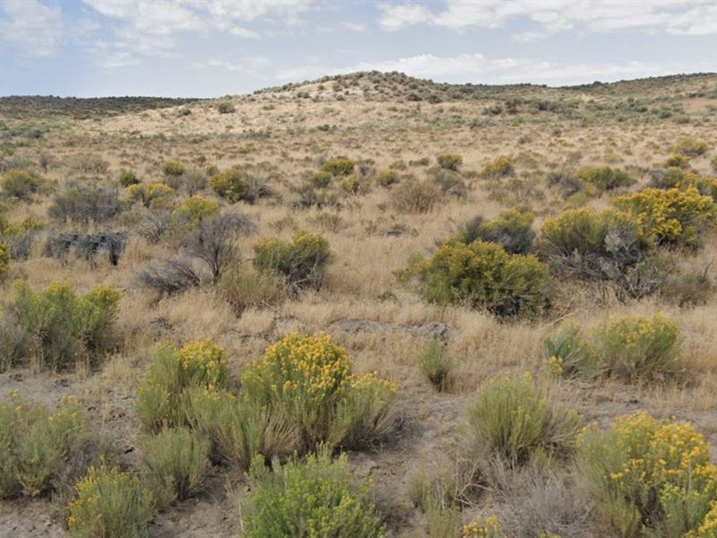 Camp, Ride, Explore in Nv, $140/Mo : Elko : Elko County : Nevada