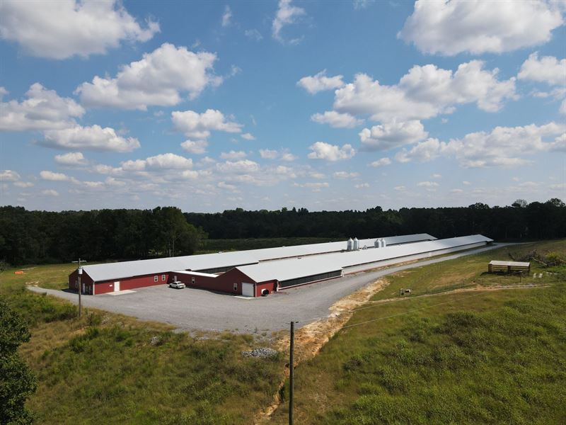 New Price, Bryant Breeder Farm : Cullman : Cullman County : Alabama