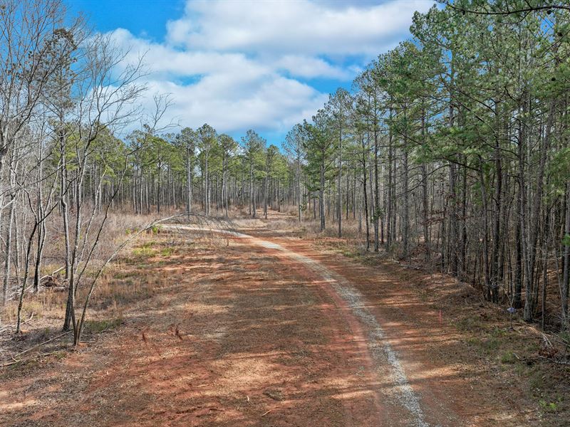 Hargrove Lake Rd Tract : Winterville : Oglethorpe County : Georgia
