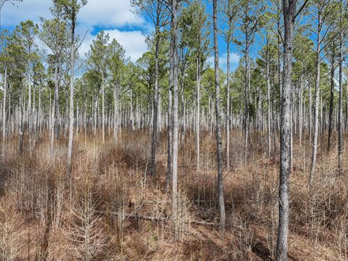 Right 35 Tract : Winterville : Oglethorpe County : Georgia