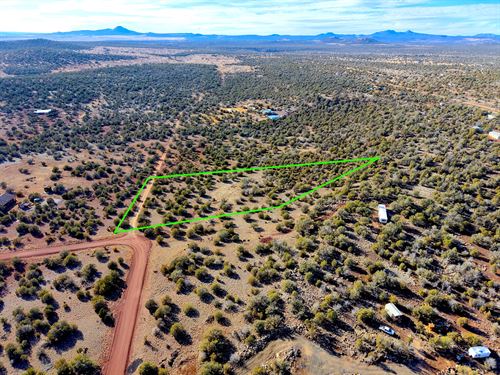 Great Ash Fork Acreage with Power : Williams : Coconino County : Arizona