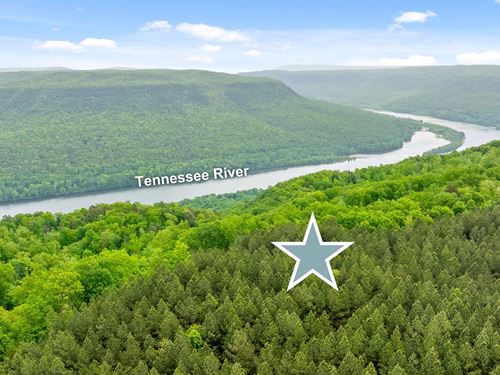 Dream Homesite on 2.45 Acres : Guild : Marion County : Tennessee