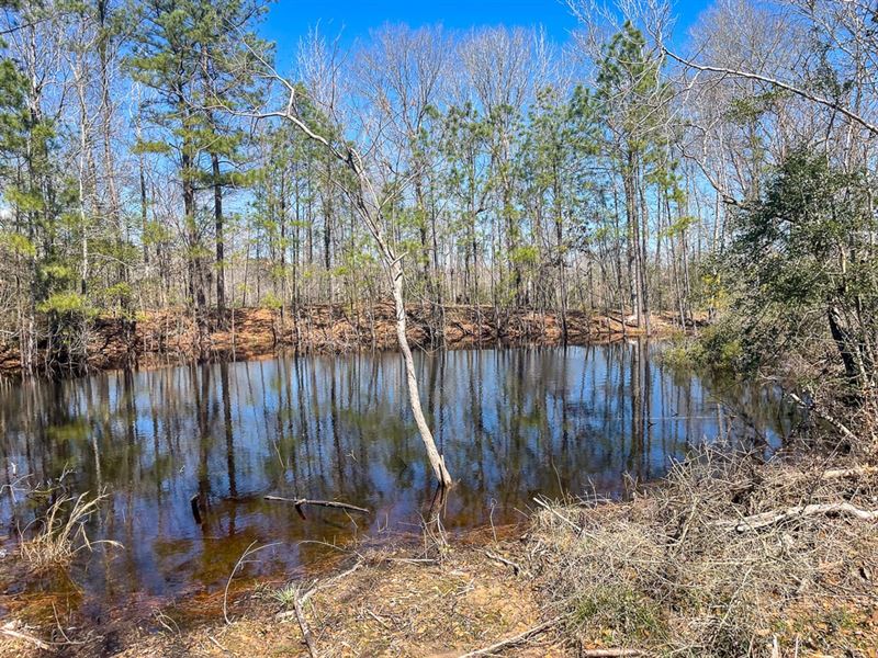 27 Acres, T-1, Highway 287 : Groveton : Trinity County : Texas