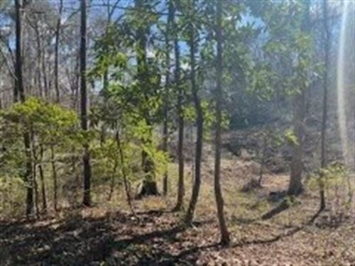 2.05 Ac Turkey Creek Rd, Natchez : Natchez : Adams County : Mississippi