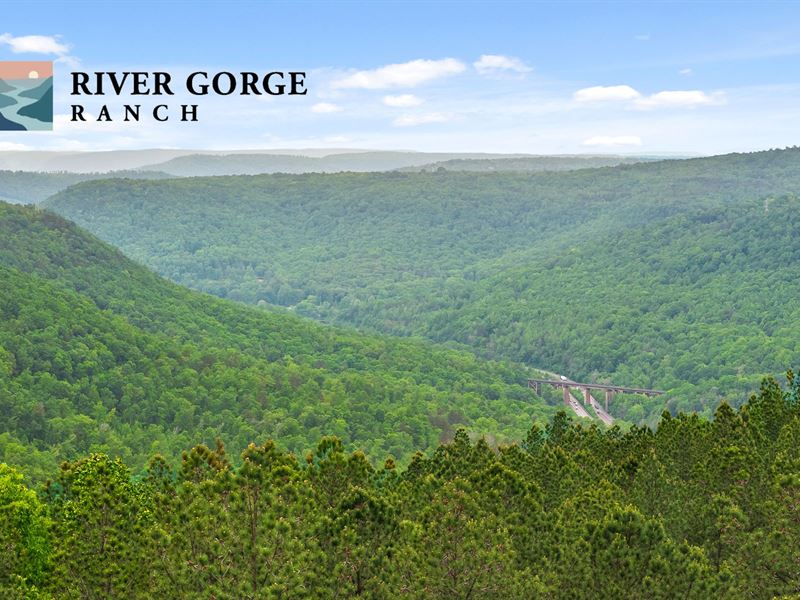 3.35 Acre Homesite with Bluff View : Guild : Marion County : Tennessee