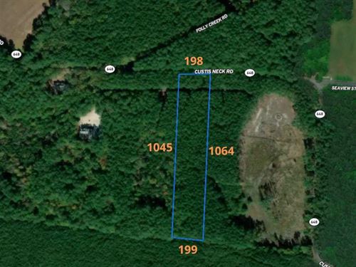 Tranquil Land in Accomack : Accomac : Accomack County : Virginia