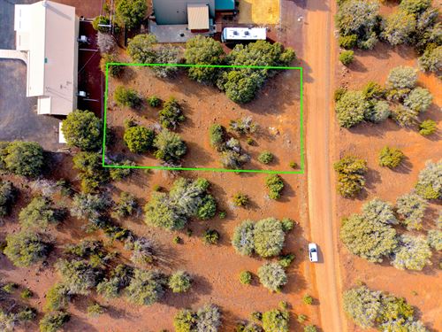 White Mountain Lake Lot : Show Low : Navajo County : Arizona