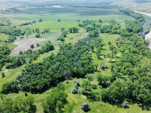 White River 144 Hunting Camp : Winner : Tripp County : South Dakota