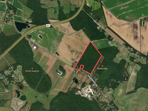 54.91 Acres of Re : Marion : South Carolina
