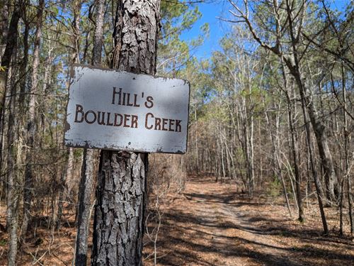 Hill's Boulder Creek 84 Acres So : Eclectic : Elmore County : Alabama