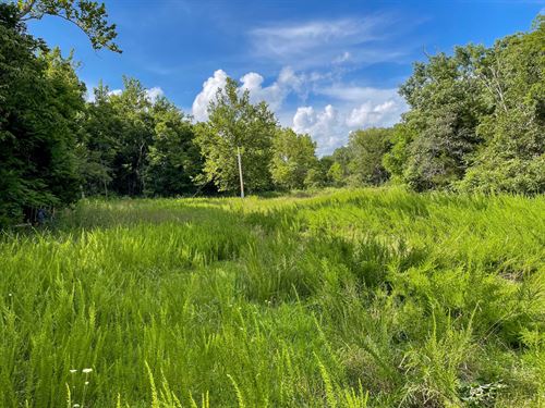 Texas County 180 : Willow Springs : Texas County : Missouri