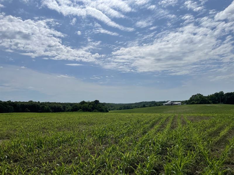32.58-Acre Farm in Northern Sumner : Westmoreland : Sumner County : Tennessee