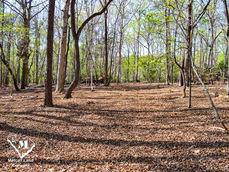 3.9 Acre Wooded Lot in Tryon, NC : Tryon : Polk County : North Carolina