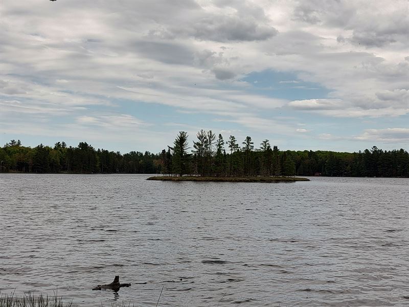 U.P. Robinson Lake Parcel : Iron River : Iron County : Michigan