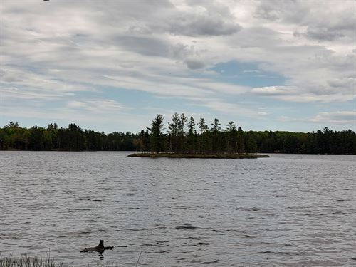 U.P. Robinson Lake Parcel : Iron River : Iron County : Michigan
