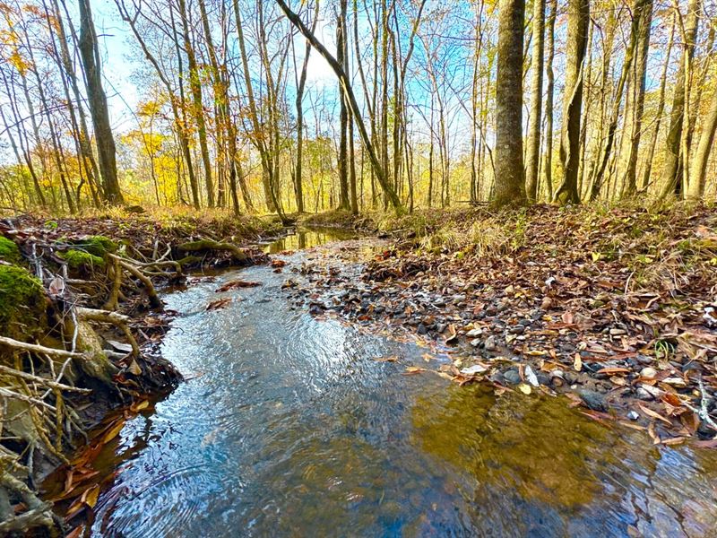 Gorgeous Wooded 9 Acre Homesite Opp : Wetumpka : Elmore County : Alabama