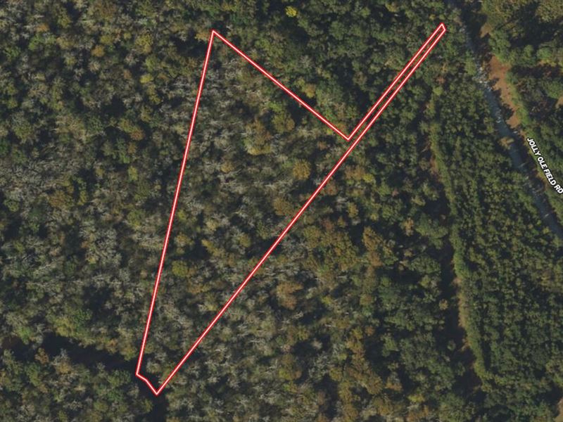 Updated, 5.38 Acres of Creekfront : Grifton : Pitt County : North Carolina