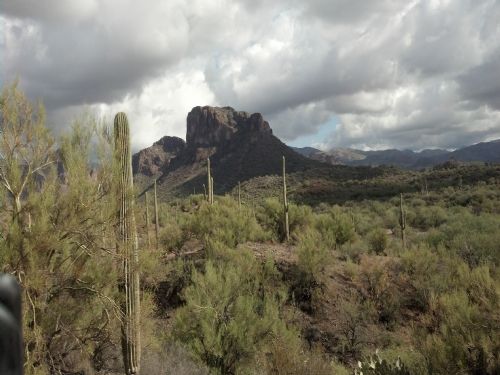$500/Mo 40 Ac AZ Gold Mining Claim : Florence Junction : Pinal County : Arizona