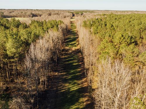 742 Acres In Holmes County, MS : Lexington : Holmes County : Mississippi