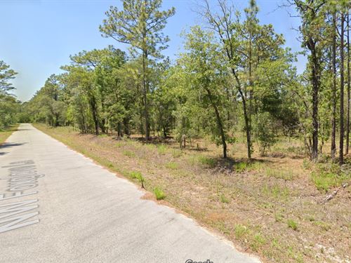 Dream, Build, and Grow : Dunnellon : Marion County : Florida