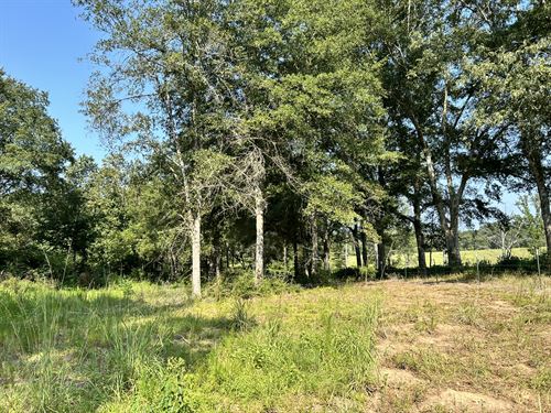 Tract A Welch Lane : Kentwood : Saint Helena Parish : Louisiana