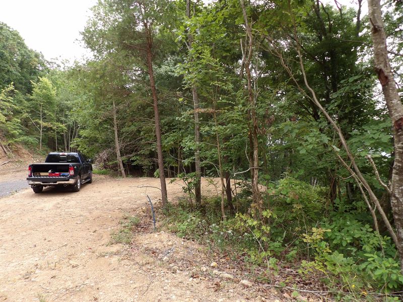 Views, Electric, Water, Internet : Pikeville : Bledsoe County : Tennessee