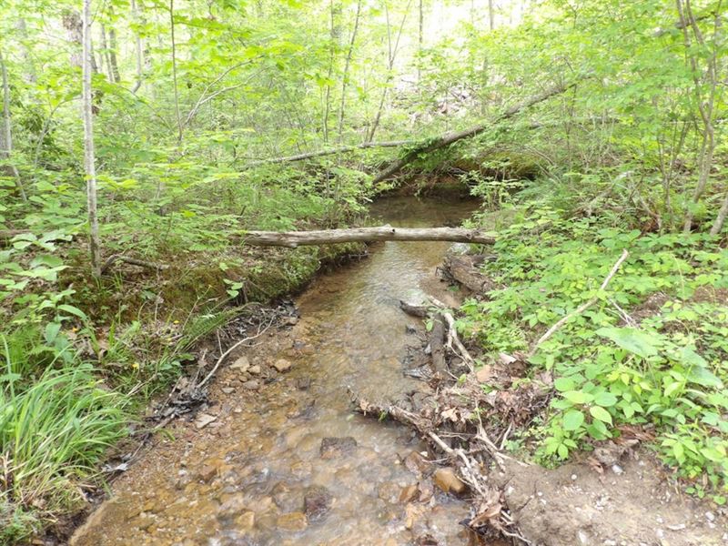 Private, Mountain Views : Crossville : Bledsoe County : Tennessee