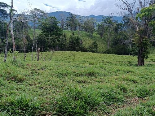 Opportunity Beautiful Farm : Costa Rica