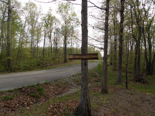 Creek, Level, Road Frontage : Pikeville : Bledsoe County : Tennessee