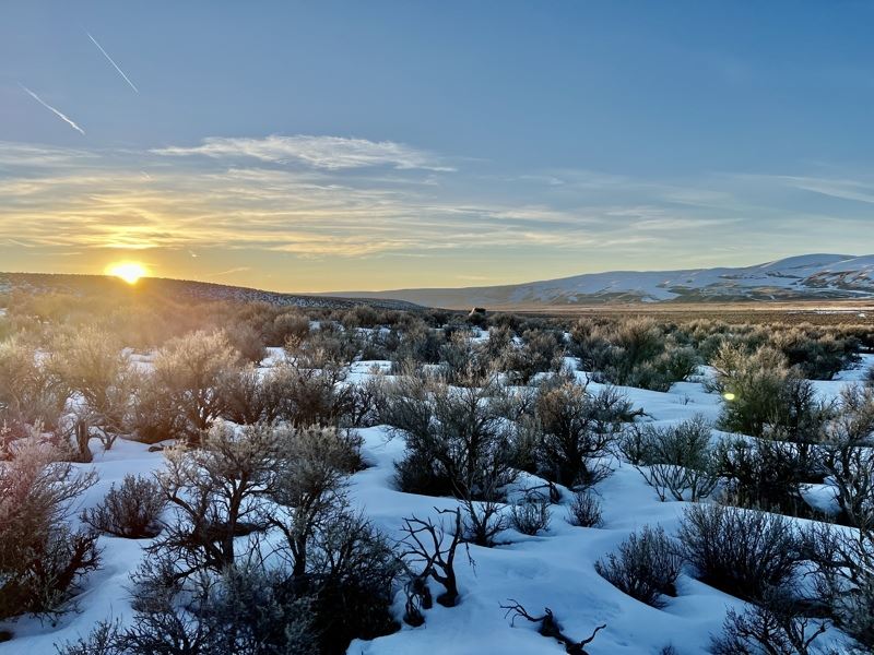 10 Ac Open Space Off-Grid $305/Mo : Montello : Elko County : Nevada