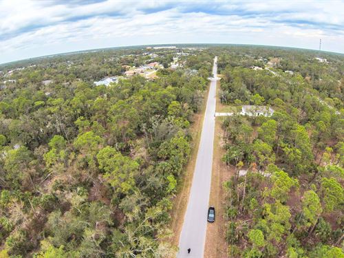 Sunny Florida Vibes : Port Charlotte : Charlotte County : Florida