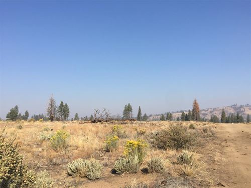 Homestead Freedom in Oregon : Sprague River : Klamath County : Oregon