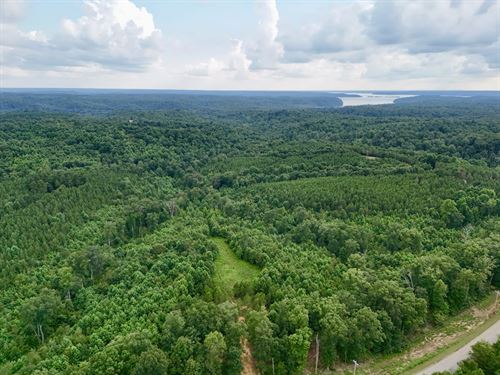 10 Arce Lot Minutes From Kentucky : Dover : Stewart County : Tennessee