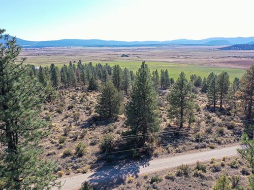 Near River and Mountain Views : Beatty : Klamath County : Oregon