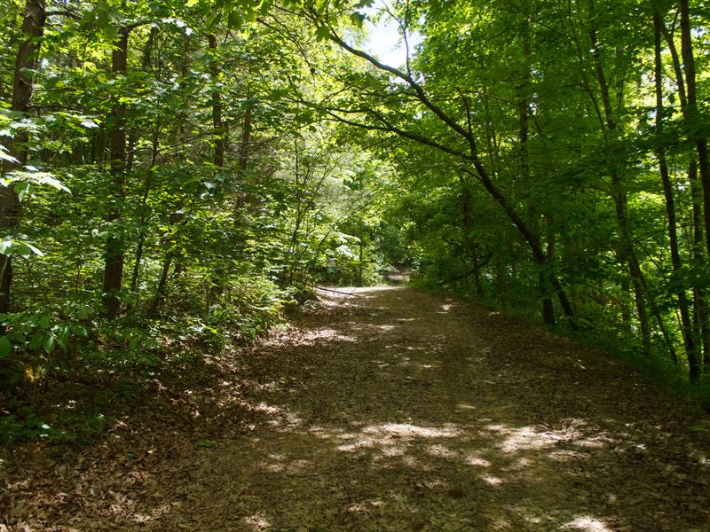 No Credit Check $999 Down : Monticello : Wayne County : Kentucky