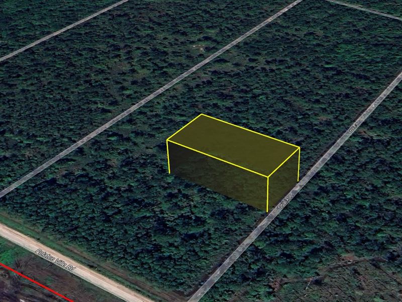 Own Florida Land Now for $299 Down : Hastings : Flagler County : Florida