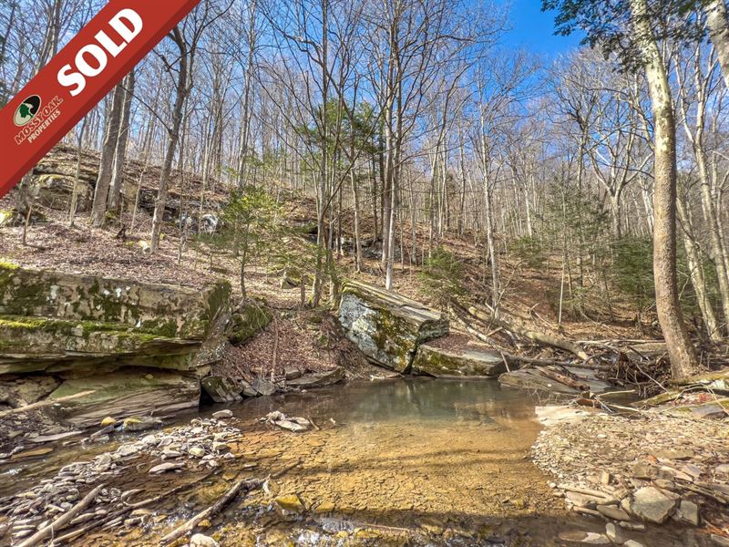 Chenoweth Creek Rd, 90 Acres, Ran : Elkins : Randolph County : West Virginia