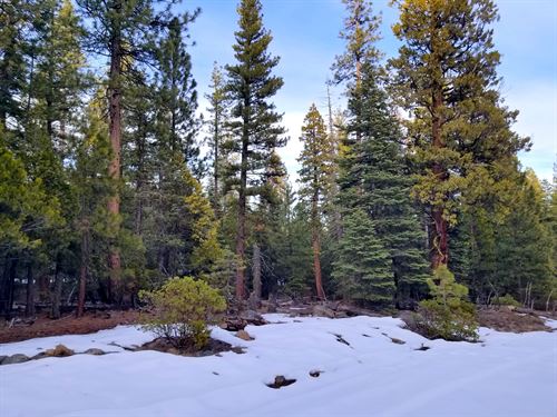 CA Land for Retirement & Recreation : Alturas : Modoc County : California