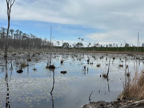 103 Ac Hwy 137 : Andalusia : Covington County : Alabama
