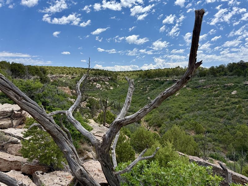 Cross Creek Canyon Ranch : Dove Creek : Dolores County : Colorado
