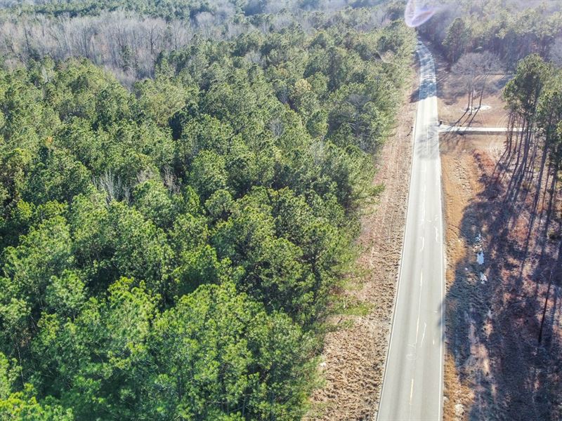 21 Acres on Judge Brown Rd, Nea : Cusseta : Chambers County : Alabama