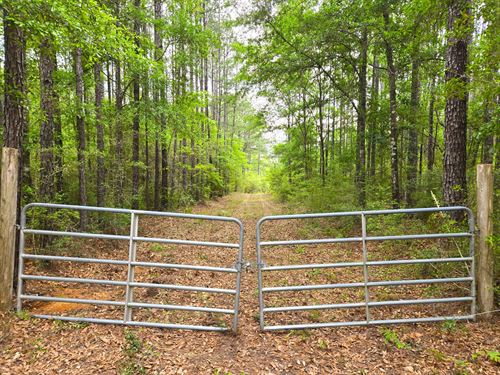 Highway 45 Tract Citronelle AL : Citronelle : Mobile County : Alabama