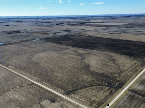 Vermilion County, IL : Rankin : Vermilion County : Illinois