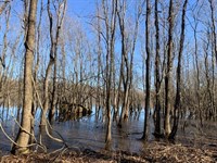 French Fork Tract, Lasalle Parish : Jena : Lasalle Parish : Louisiana