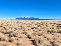 Invest in Freedom, Off-Grid Land : Blanca : Costilla County : Colorado
