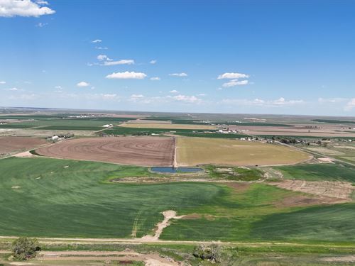 Bailey Frico/Milton Irrigated Farm : Kersey : Weld County : Colorado